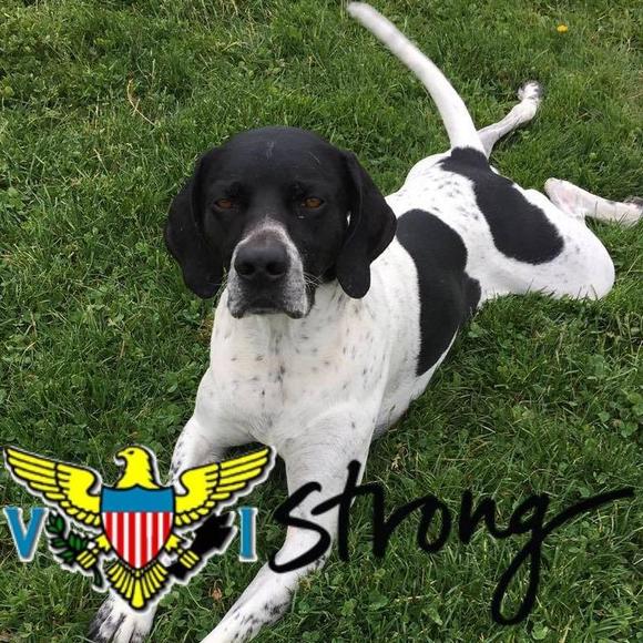 Meet your Posher, Martha - Picture 1 of 1